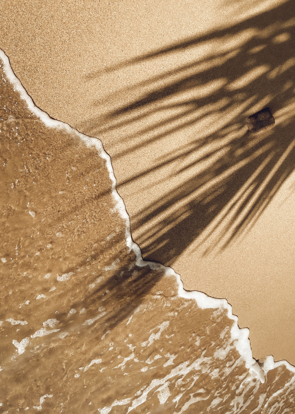 swan-kontakt-feature-02